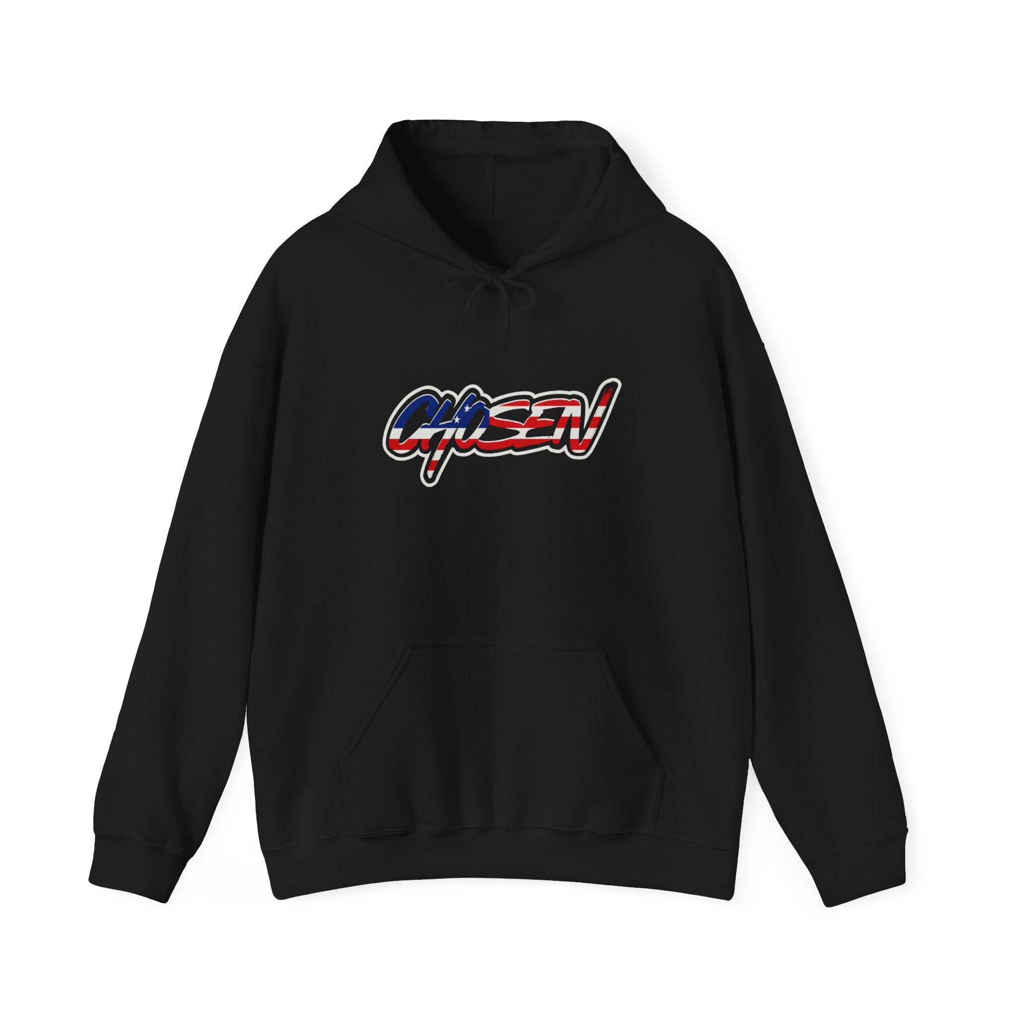 American Flag Logo Hoodie